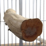 Sand Blasted Manzanita Parrot Perch 18" (45cm) - Jumbo 5