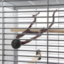 Manzanita Multi Perch - Small 3