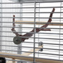 Manzanita Multi Perch - Medium 2