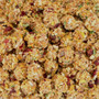 Lafeber NutriBerries Sunny Orchard Cockatiel - 284g