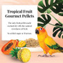 Lafeber Gourmet Pellets Tropical Fruit 567g Conure