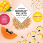 Lafeber Gourmet Pellets Tropical Fruit 567g Conure