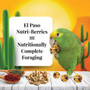 Lafeber NutriBerries Spicy El Paso Parrot 6.4kg