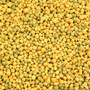 Hari Hagen Tropican Lifetime Formula 4mm Granules Parrot Food 1.8kg