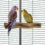 Wavy Wood Wiggle Corner Parrot Perch Small