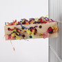 Large Holey Forager Chewable Foraging  Parrot Toy
