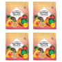 Lafeber Gourmet Pellets Tropical Fruit 1.8kg Complete Conure Food - Case of 4