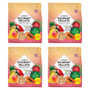 Lafeber Gourmet Pellets Tropical Fruit 1.8kg Complete Large Parrot Food Case of 4