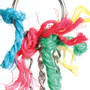 Chew & Chime Parrot Toy