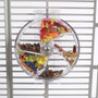 Creative Foraging Original Wheel Interactive Parrot Toy