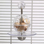 Creative Foraging Buffet Ball with Cage Mount Foraging Parrot Toy