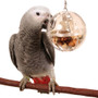 Creative Foraging Buffet Ball with Bell Foraging Parrot Toy