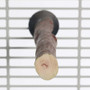Manzanita Perch 12"(30cm) - Large - Hardwood Parrot Perch 6