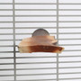 Manzanita Flat Parrot Perch - Large