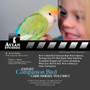 Expert Parrot Care Series DVD - Volume I