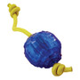 Hero Ice Ball Dog Toy