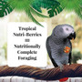 Lafeber NutriBerries Tropical Fruit 6.4Kg Complete Parrot Food 7