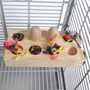 Foraging Platform Parrot Perch Large 3