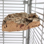 Back To Nature Cork Platform Parrot Perch Small