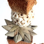 Coco Shred Sola Stack Natural Parrot Toy