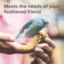 Beaphar XtraVital Vitamin Enriched Budgie Food 1kg