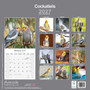 2027 Cockatiel Parrot Calendar - Full Colour - 16 Month - Starts September 2026 1