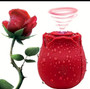 Rose Toy Vibrator – Cute Face, Nasty Attitude