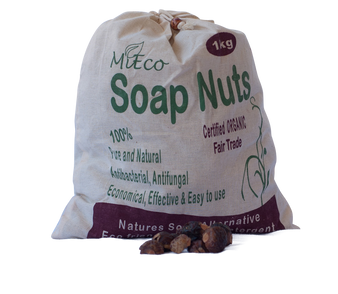 Soap Nuts