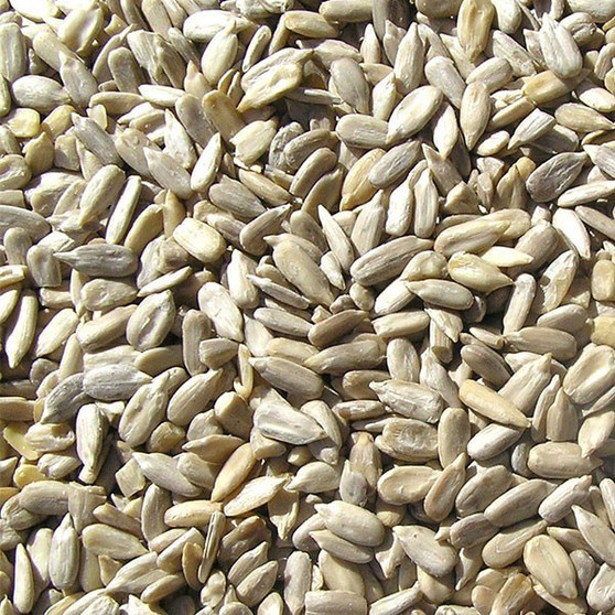 Sunflower Kernels Organic