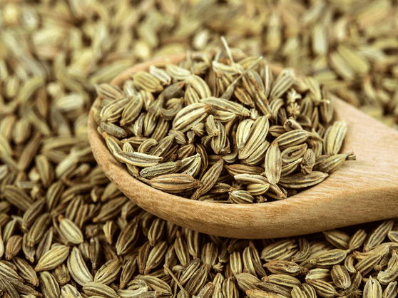 Fennel Seeds Organic