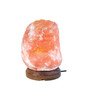 SaltCo Salt Crystal Lamps ASSORTED SIZES