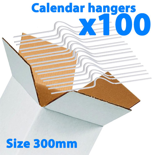 Galaxy 300mm Calendar Wire Hangers x 100