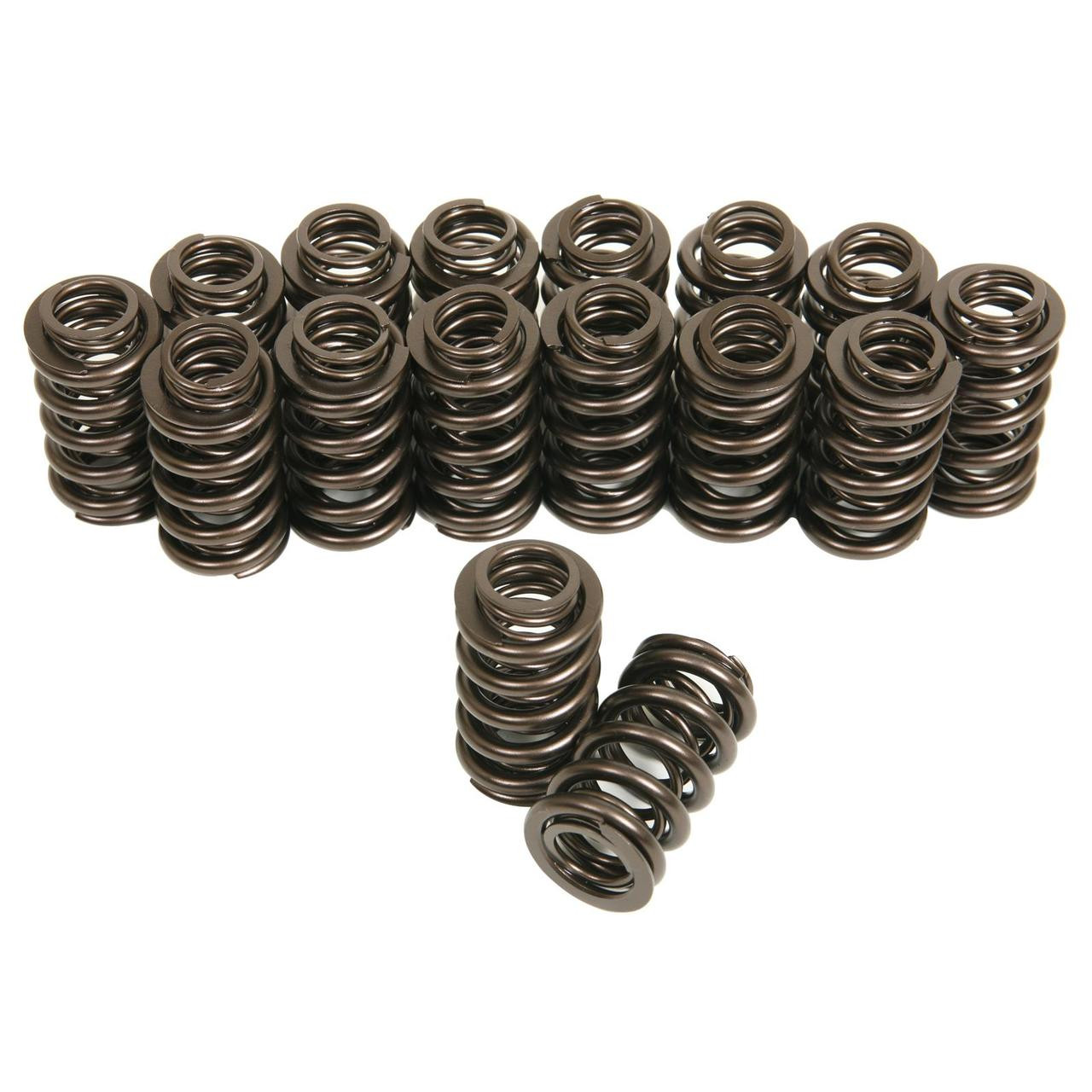 TFS 16306 Severe Duty Dual Valve Springs