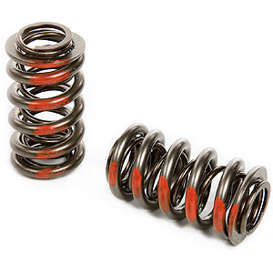 AFR 8019 HD Dual Valve Springs