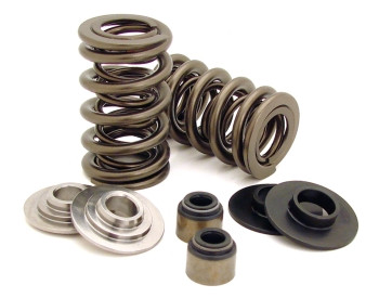 Dual Valve Spring Kit Contents