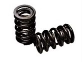 AFR 8017 Dual Valve Springs