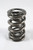 PAC Valve Springs