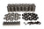 .650" Lift Dual Valve Spring Kit