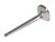 AFR Intake Valve