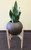 Mid Century Modern Wooden Planter Stands (Pot and Plant Not Included)