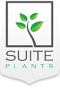 suite-plants-logo.png suite-plants-logo.png