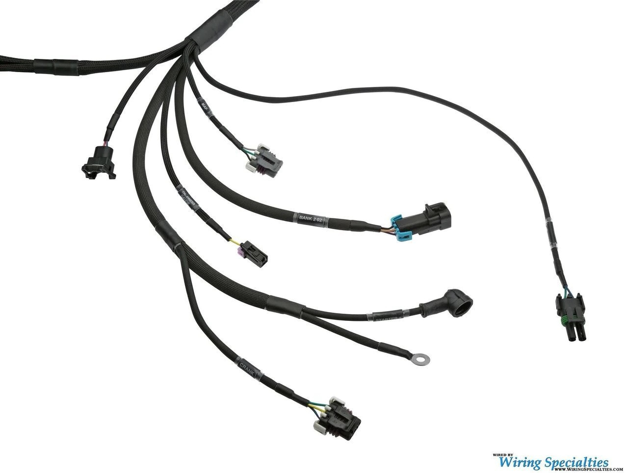 LS Swap Stand Alone Harness DBC 5.3 For 97-04 Chevy Truck - LZONE FIC41