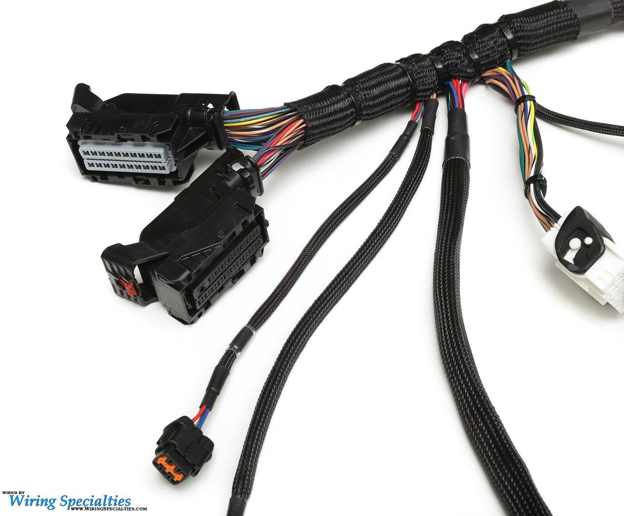 Standalone LS3/L99 Swap Wiring Harness | Drive by Wire | Wiring Specialties