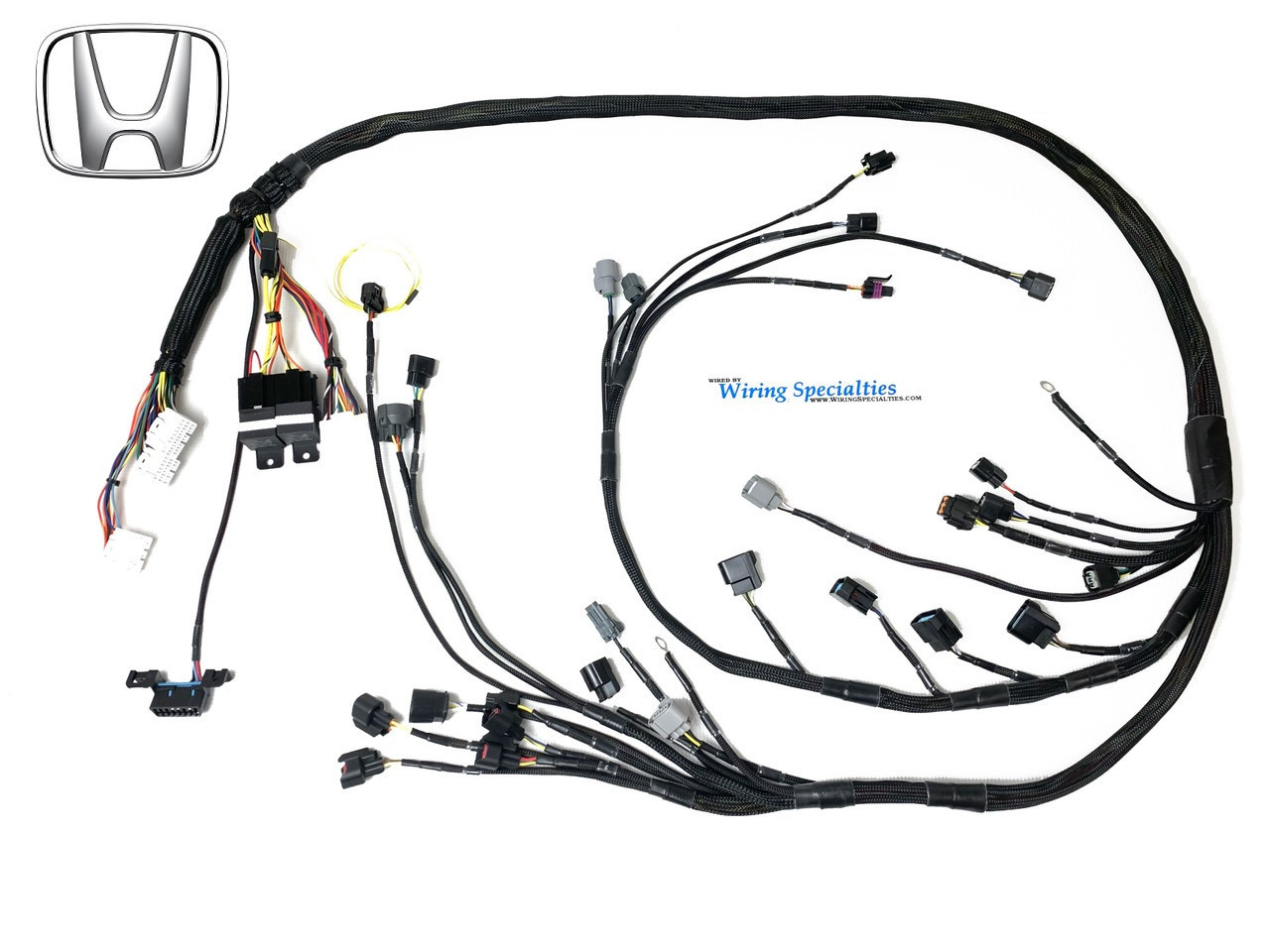 300zx K-Series Wiring Harness | K20 / K24 Swap | Wiring Specialties