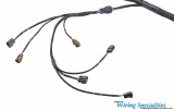 Datsun 260z RB20DET swap wiring harness