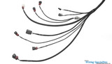 Datsun 260z VH45DE swapwiring harness