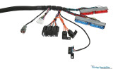 LSx Gen IV DBC Wiring Harness for Chevrolet El Camino (Gen 1-5) - PRO SERIES