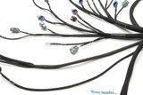 LS3 DBW PRO Wiring Harness