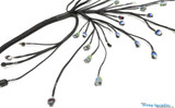 LS3 DBW PRO Wiring Harness