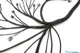 LS3 DBW PRO Wiring Harness